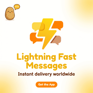 POTATO品牌 - Potato隐私对比分析：完整指南与深度分析